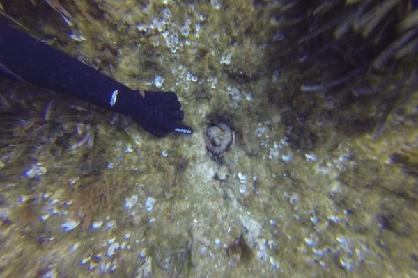 DCIM100GOPRO