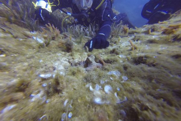 DCIM100GOPRO