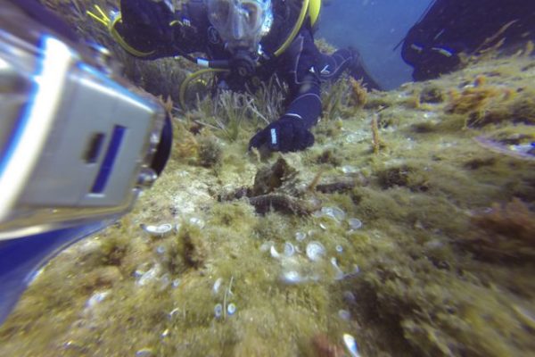 DCIM100GOPRO