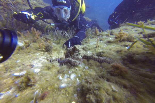 DCIM100GOPRO