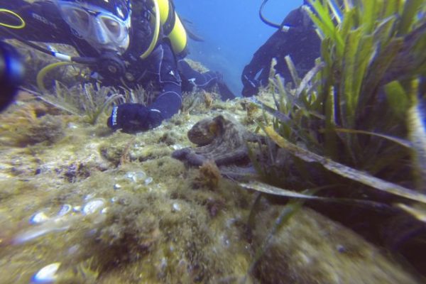 DCIM100GOPRO
