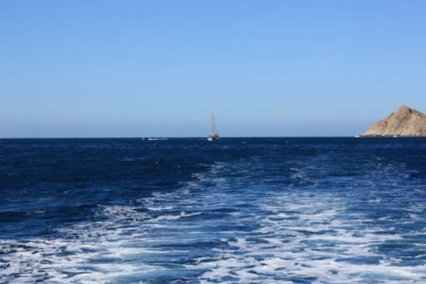 a des reflets d'argent, la mer