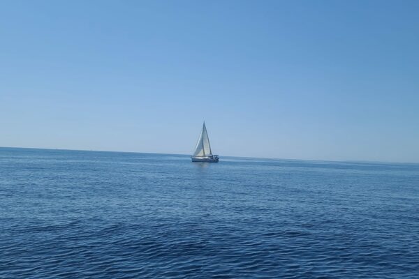 IMG-20220520-WA0028