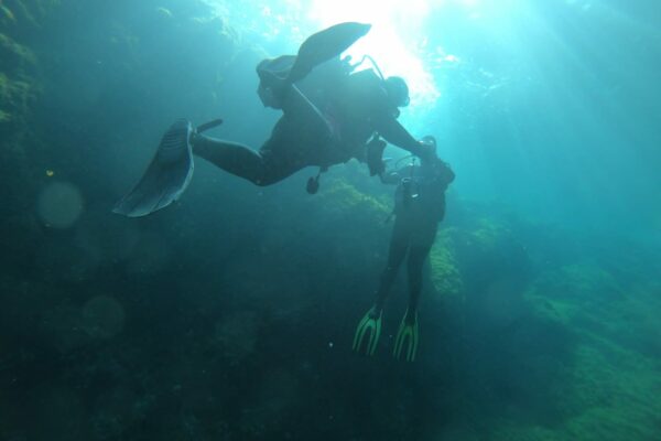 IMG-20220613-WA0014