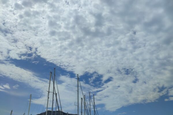 IMG-20220613-WA0091