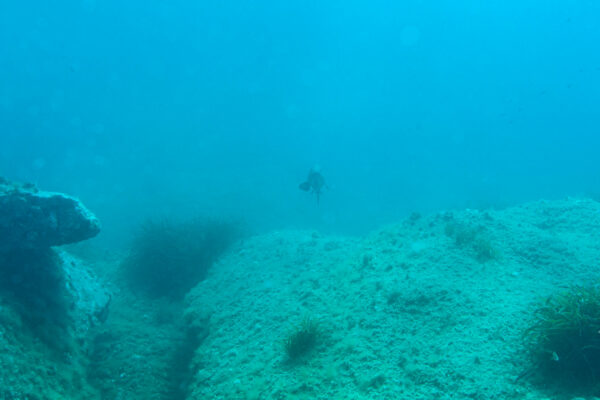 Hyeres23 (104)