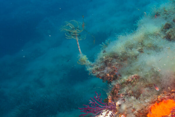 Hyeres23 (120)
