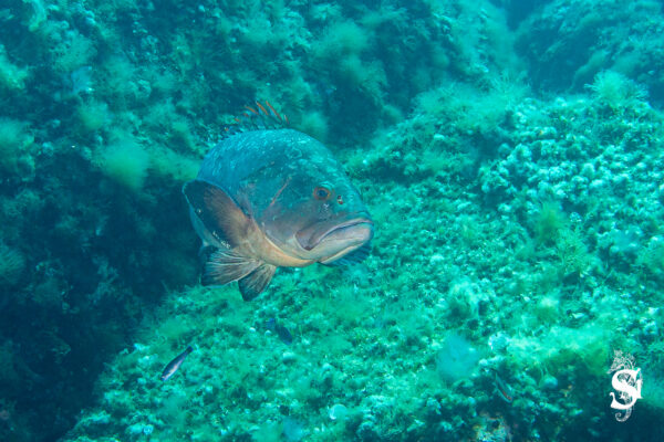 Hyeres23 (142)