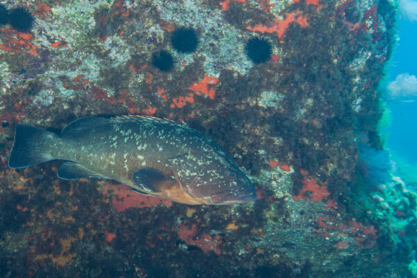 Hyeres23 (144)