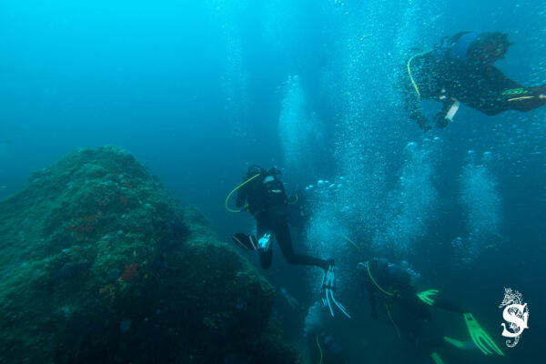 Hyeres23 (15)