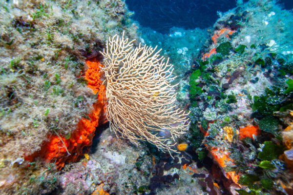 Hyeres23 (28)