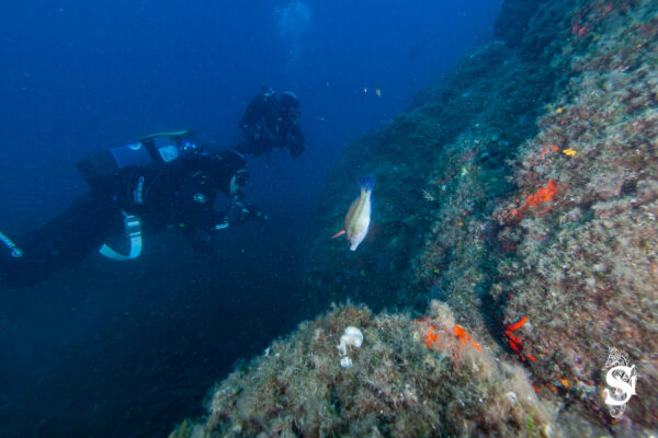 Hyeres23 (31)