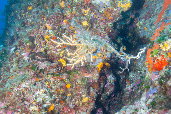 Hyeres23 (34)