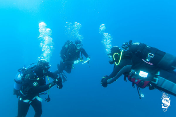 Hyeres_2023-001