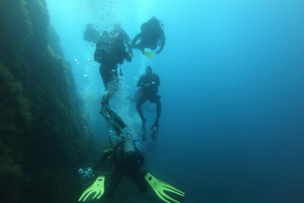 IMG-20230514-WA0033