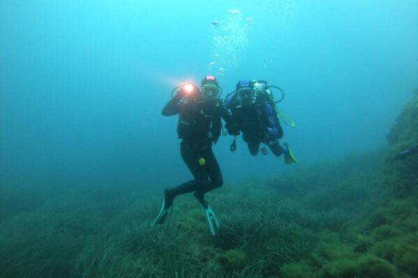 IMG-20230514-WA0038