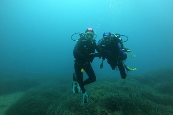 IMG-20230514-WA0041
