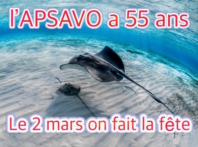 L’APSAVO a 55 ans