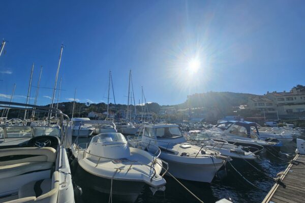 St-Cyr_2024_53