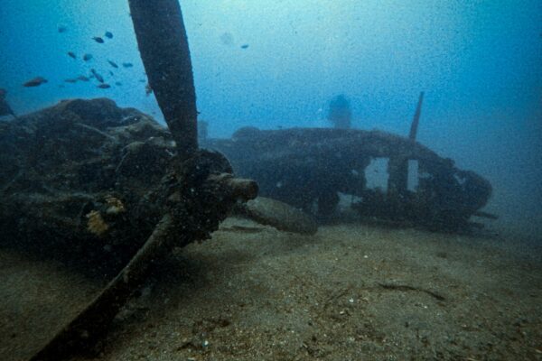 St-Cyr_2024_61