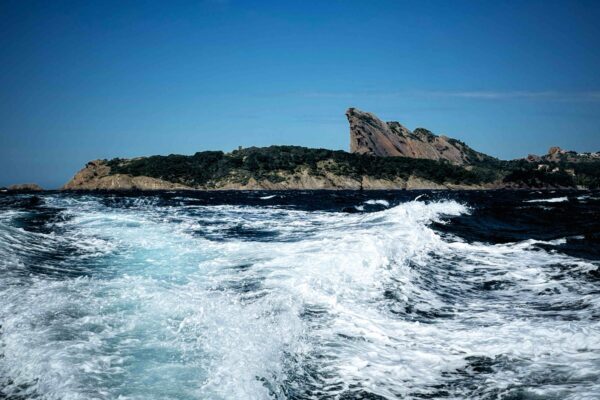 St-Cyr_2024_74
