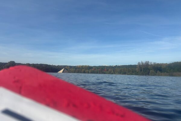 IMG-20241013-WA0016